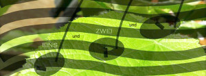 eins und zwei und Kopie