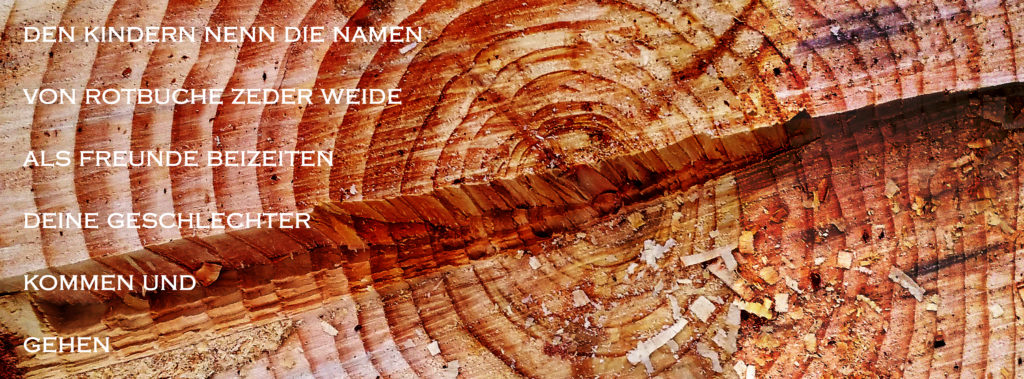 Den Kindern nenn die Namen