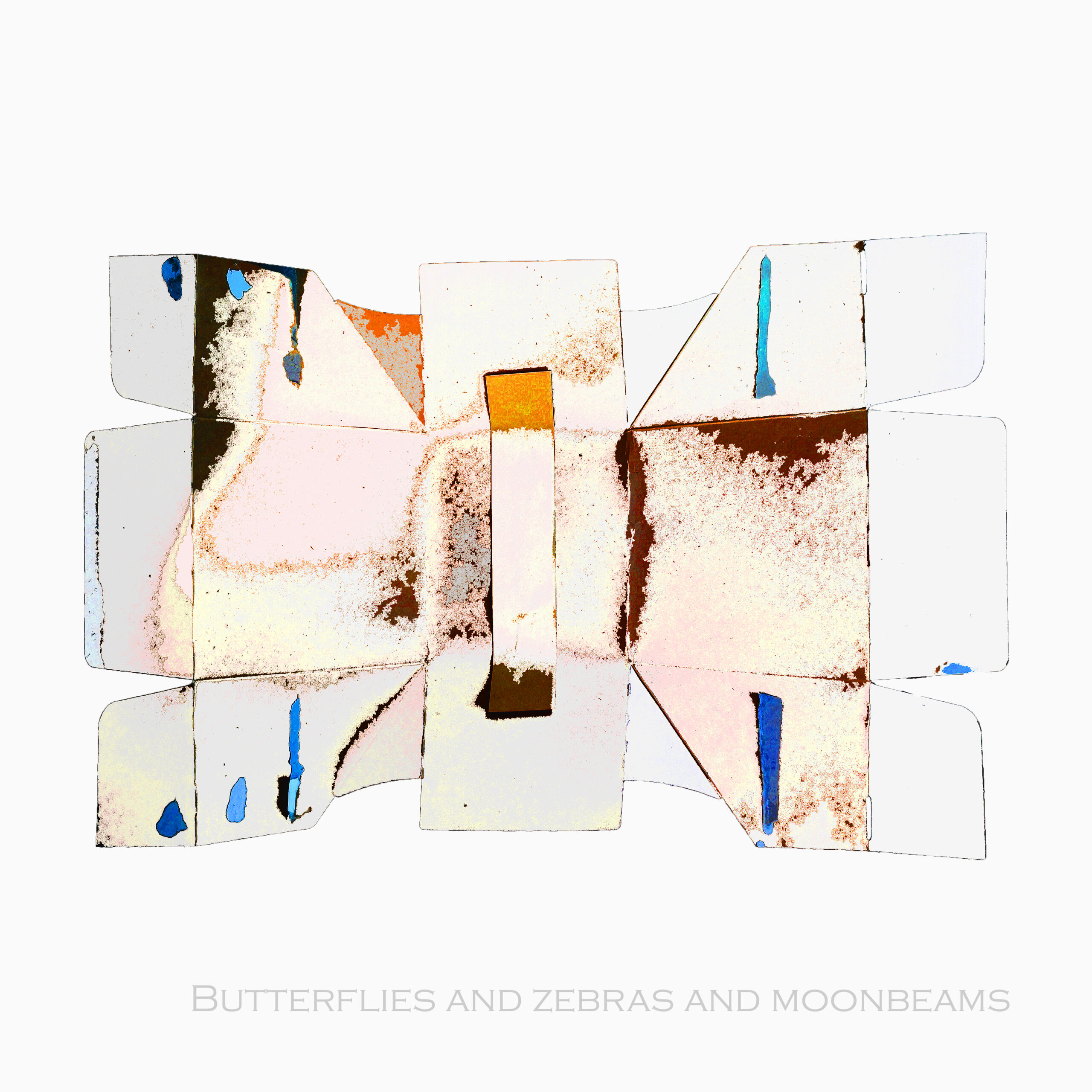 Butterflies and Zebras and Moonbeams