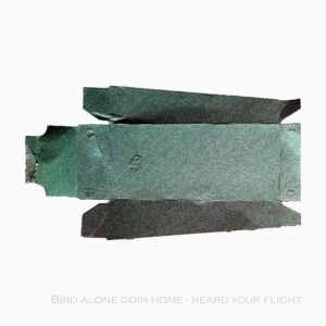 Bird alone goin home – heard your flight