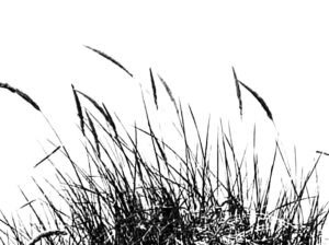 On the swaying of things