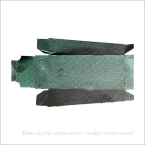 Bird alone goin home – heard your flight