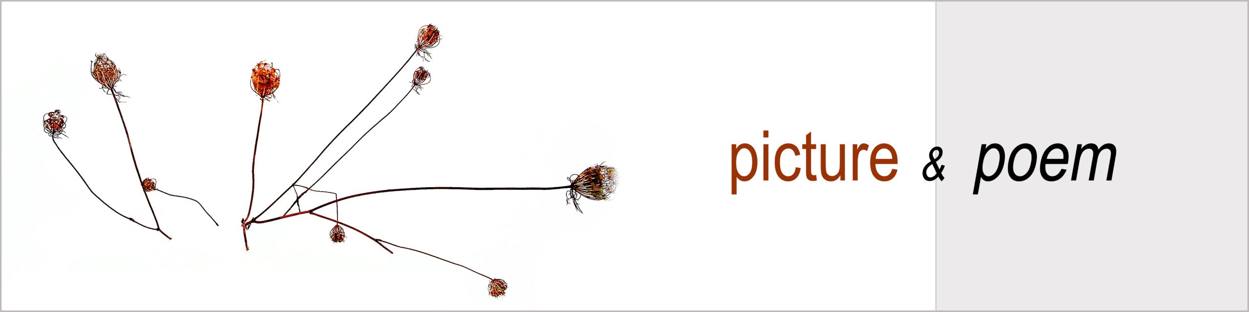 picture & poem