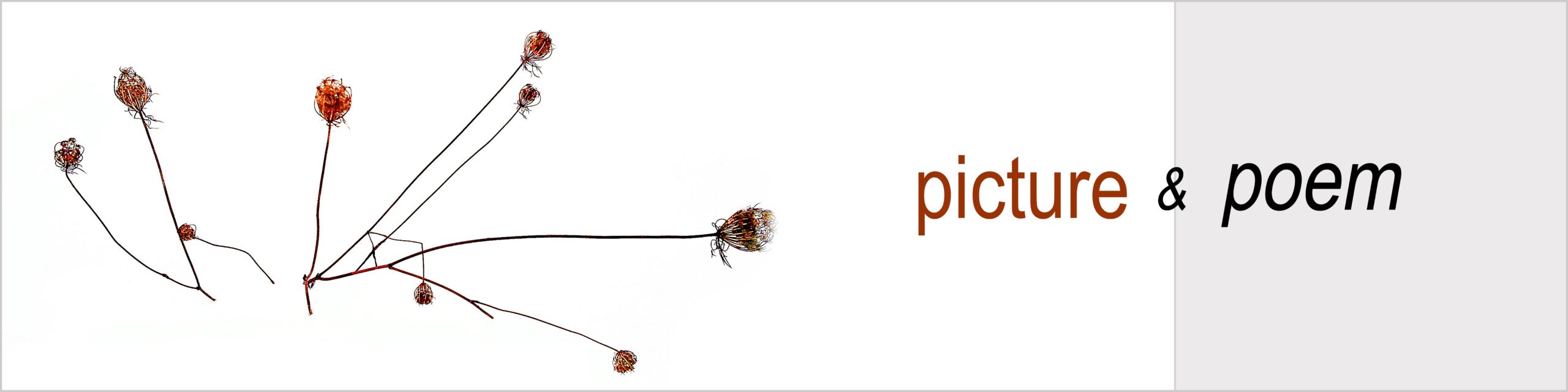 picture & poem